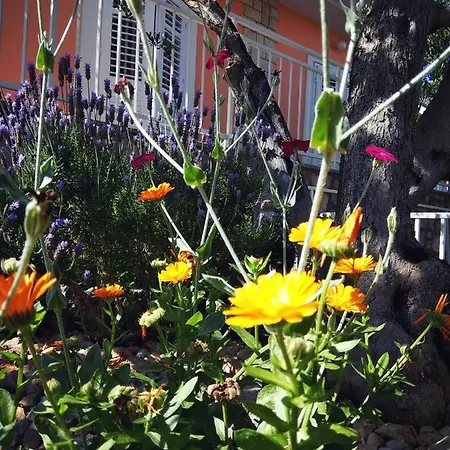 Antulov * سريما